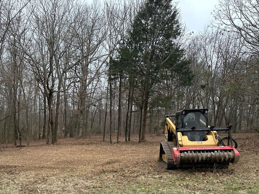 Land Clearing