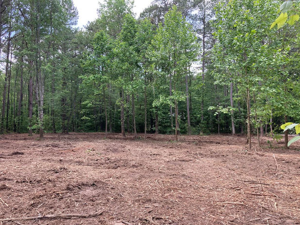 Land project