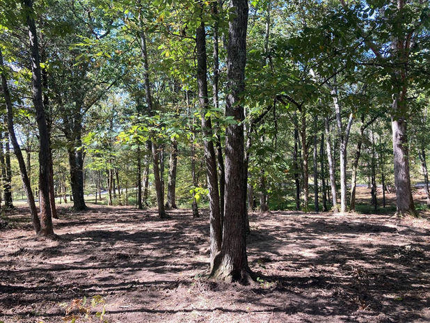 Land project